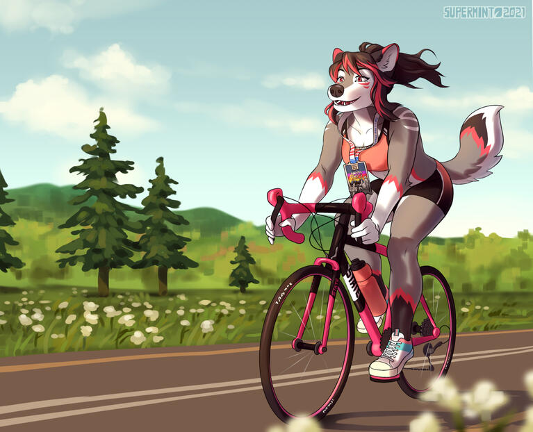 Mid-range complex (vehicle)